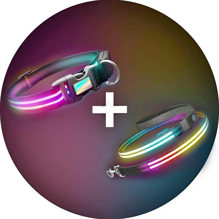 Double Rainbow LED Pet Collar & Leash Set