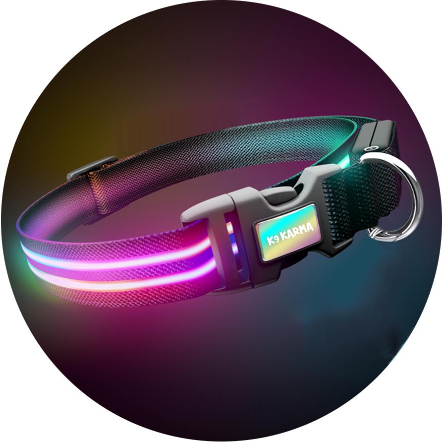 Double Rainbow LED Pet Collar & Leash Set
