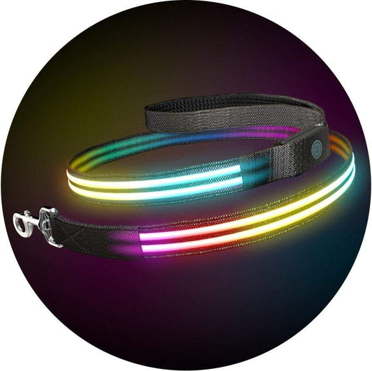 Double Rainbow LED Pet Collar & Leash Set